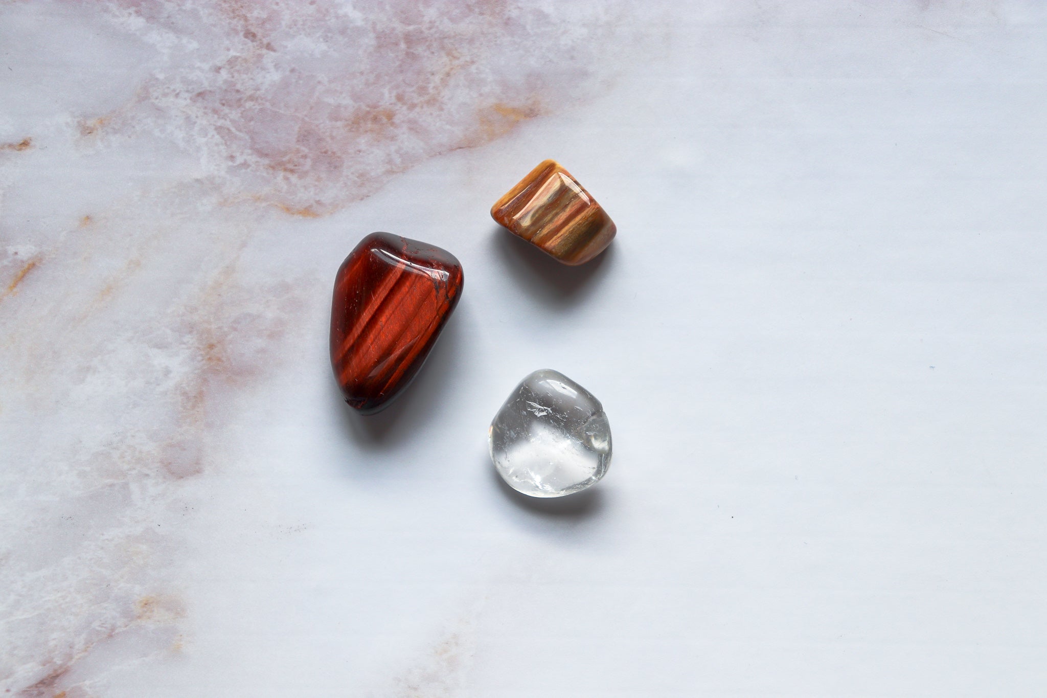 Themed box - fashion club